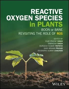 Singh / Tripathi / Prasad |  Reactive Oxygen Species in Plants | Buch |  Sack Fachmedien