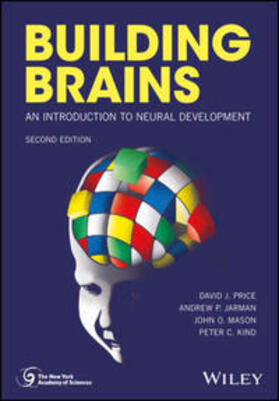 Price / Jarman / Mason | Building Brains | E-Book | sack.de