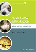 Coatesworth |  Small Animal Dermatology | Buch |  Sack Fachmedien