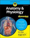 Odya / Norris |  Anatomy and Physiology For Dummies | eBook | Sack Fachmedien