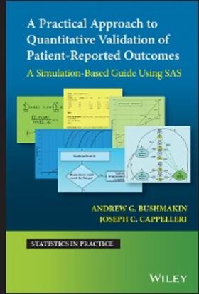 Bushmakin / Cappelleri |  A Practical Approach to Quantitative Validation of Patient-Reported Outcomes | eBook | Sack Fachmedien