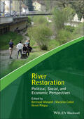 Morandi / Cottet / Piégay |  River Restoration | Buch |  Sack Fachmedien