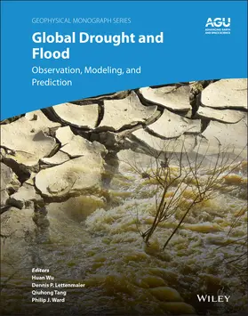 Wu / Lettenmaier / Tang | Global Drought and Flood | Buch | 978-1-119-42730-8 | www.sack.de