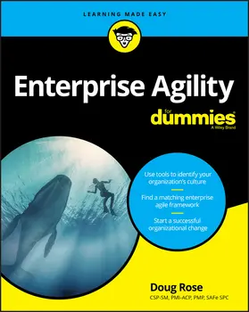 Rose |  Enterprise Agility for Dummies | Buch |  Sack Fachmedien
