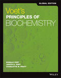 Pratt / Voet |  Voet's Principles of Biochemistry, Global Edition | Buch |  Sack Fachmedien