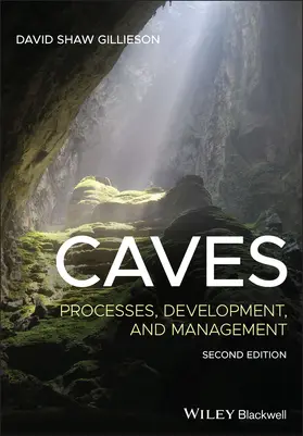 Gillieson |  Caves | Buch |  Sack Fachmedien