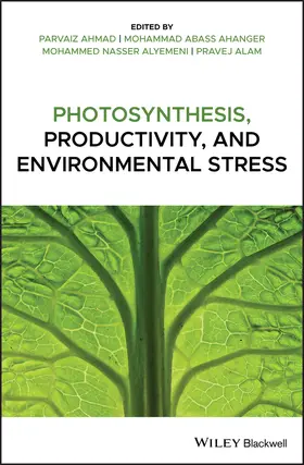 Ahmad / Abass Ahanger / Nasser Alyemeni |  Photosynthesis, Productivity, and Environmental Stress | Buch |  Sack Fachmedien