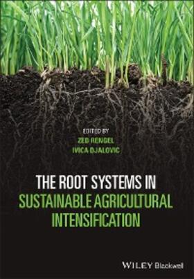 Rengel / Djalovic |  The Root Systems in Sustainable Agricultural Intensification | eBook | Sack Fachmedien