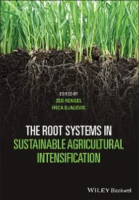 Rengel / Djalovic |  The Root Systems in Sustainable Agricultural Intensification | eBook | Sack Fachmedien