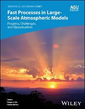 Liu / Kollias / Donner |  Fast Processes in Large-Scale Atmospheric Models | eBook | Sack Fachmedien