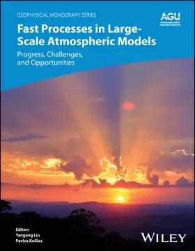 Liu / Kollias |  Fast Processes in Large-Scale Atmospheric Models | Buch |  Sack Fachmedien