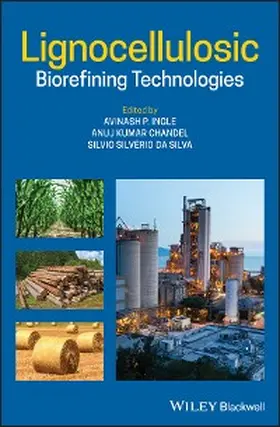Ingle / Chandel / Silverio Da Silva |  Lignocellulosic Biorefining Technologies | eBook | Sack Fachmedien