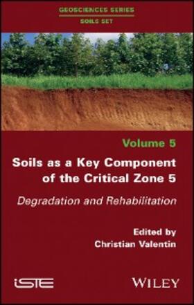 Valentin |  Soils as a Key Component of the Critical Zone 5 | eBook | Sack Fachmedien