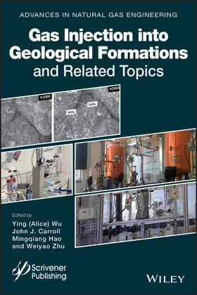 Wu / Carroll / Hao | Gas Injection Into Geological Formations and Related Topics | Buch | 978-1-119-59206-8 | sack.de