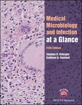 Gillespie / Bamford |  Medical Microbiology and Infection at a Glance | Buch |  Sack Fachmedien