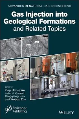 Wu / Carroll / Hao |  Gas Injection into Geological Formations and Related Topics | eBook | Sack Fachmedien