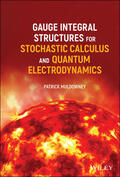 Muldowney |  Gauge Integral Structures for Stochastic Calculus and Quantum Electrodynamics | Buch |  Sack Fachmedien