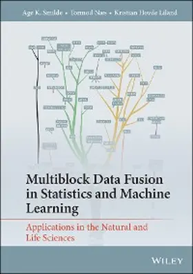 Smilde / Næs / Liland |  Multiblock Data Fusion in Statistics and Machine Learning | eBook | Sack Fachmedien