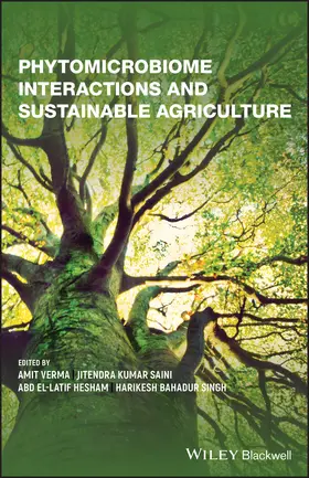 Verma / Saini / Bahadur Singh |  Phytomicrobiome Interactions and Sustainable Agriculture | Buch |  Sack Fachmedien