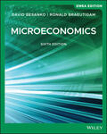 Besanko / Braeutigam |  Microeconomics, EMEA Edition | Buch |  Sack Fachmedien