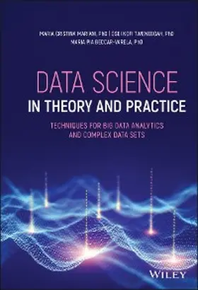 Mariani / Tweneboah / Beccar-Varela | Data Science in Theory and Practice | E-Book | www.sack.de