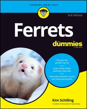 Schilling |  Ferrets for Dummies | Buch |  Sack Fachmedien