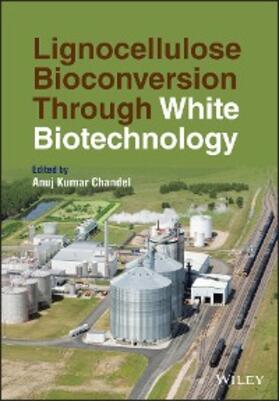 Chandel |  Lignocellulose Bioconversion Through White Biotechnology | eBook | Sack Fachmedien