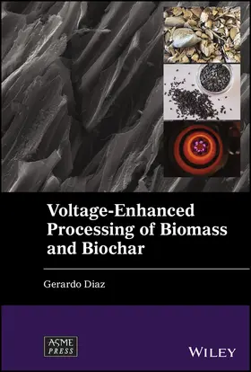 Diaz |  Voltage-Enhanced Processing of Biomass and Biochar | Buch |  Sack Fachmedien