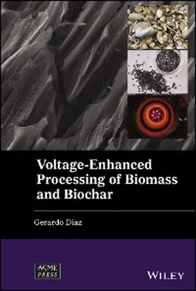 Diaz |  Voltage-Enhanced Processing of Biomass and Biochar | eBook | Sack Fachmedien
