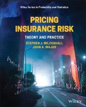 Mildenhall / Major |  Pricing Insurance Risk | eBook | Sack Fachmedien