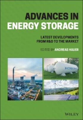 Hauer |  Advances in Energy Storage | eBook | Sack Fachmedien