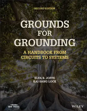 Joffe / Lock | Grounds for Grounding | Buch | 978-1-119-77093-0 | sack.de
