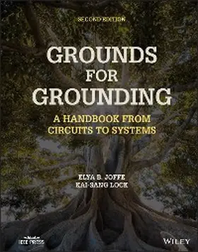 Joffe / Lock | Grounds for Grounding | E-Book | www.sack.de