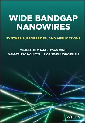 Phan / Pham / Nguyen |  Wide Bandgap Nanowires | Buch |  Sack Fachmedien