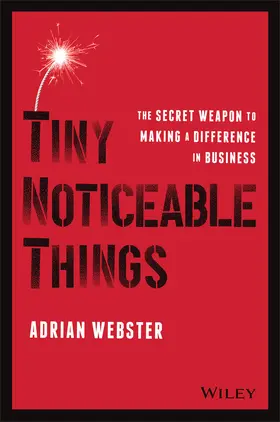 Webster |  Tiny Noticeable Things | Buch |  Sack Fachmedien