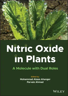 Ahmad / Abass Ahanger |  Nitric Oxide in Plants | Buch |  Sack Fachmedien