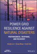 Lei / Wang / Hou |  Power Grid Resilience Against Natural Disasters | Buch |  Sack Fachmedien