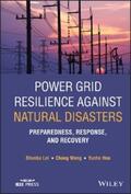 Lei / Wang / Hou |  Power Grid Resilience against Natural Disasters | eBook | Sack Fachmedien