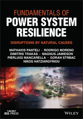 Trakas / Hatziargyriou / Strbac |  Fundamentals of Power System Resilience | Buch |  Sack Fachmedien