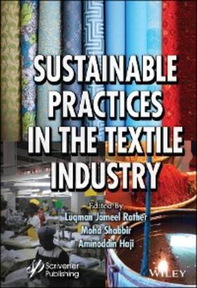 Rather / Shabbir / Haji | Sustainable Practices in the Textile Industry | E-Book | www.sack.de