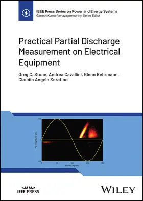 Stone / Cavallini / Behrmann |  Practical Partial Discharge Measurement on Electrical Equipment | Buch |  Sack Fachmedien