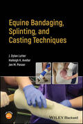 Lutter / Avellar / Panzer |  Equine Bandaging, Splinting, and Casting Techniques | Buch |  Sack Fachmedien