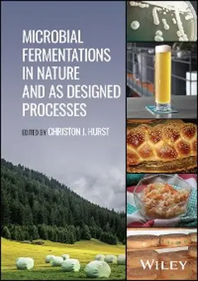 Hurst |  Microbial Fermentations in Nature and as Designed Processes | eBook | Sack Fachmedien
