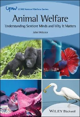 Webster |  Animal Welfare | eBook | Sack Fachmedien