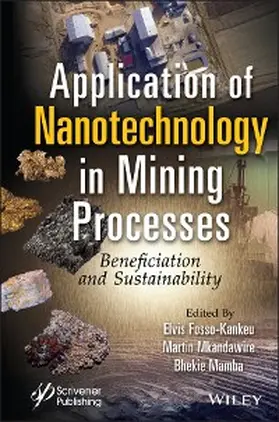 Fosso-Kankeu / Mkandawire / Mamba | Application of Nanotechnology in Mining Processes | E-Book | www.sack.de