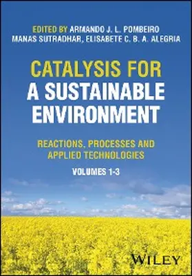 Pombeiro / Sutradhar / Alegria |  Catalysis for a Sustainable Environment | eBook | Sack Fachmedien