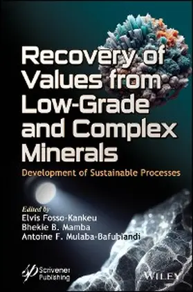 Fosso-Kankeu / Mamba / Mulaba-Bafubiandi | Recovery of Values from Low-Grade and Complex Minerals | E-Book | sack.de