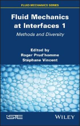 Prudhomme / Vincent |  Fluid Mechanics at Interfaces 1 | eBook | Sack Fachmedien