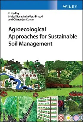 Prasad / Kumar | Agroecological Approaches for Sustainable Soil Management | E-Book | www.sack.de