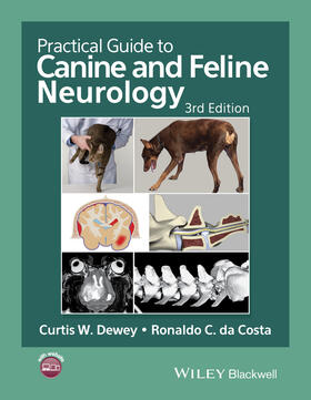 Dewey / da Costa | Practical Guide to Canine and Feline Neurology | Buch | 978-1-119-94611-3 | sack.de